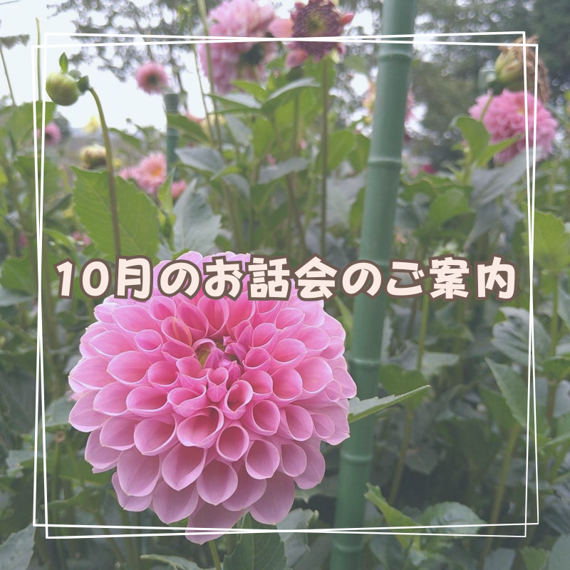 ふらのわ2023年10月お話会のご案内