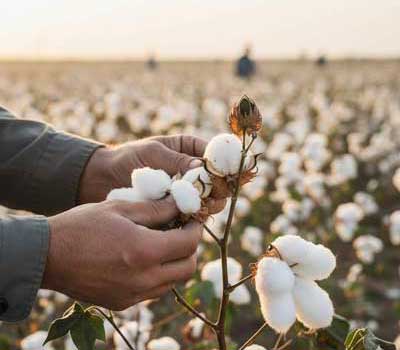 生産者への配慮