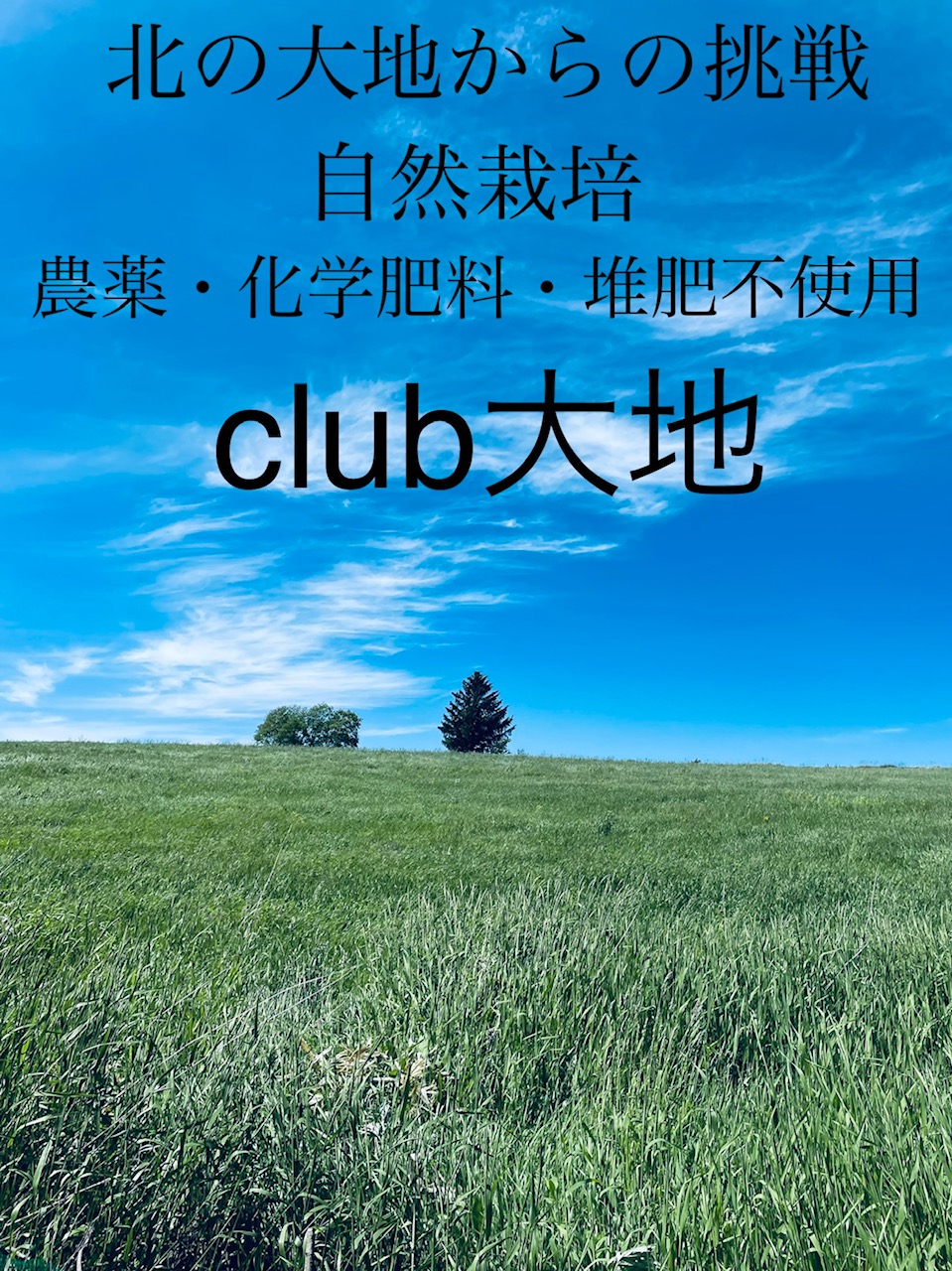 クラブ大地
